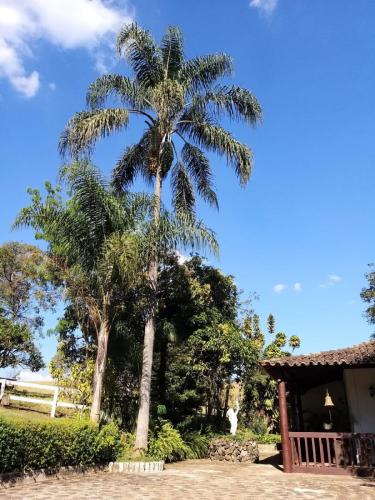 Fazenda JS para aluguel de retiros holísticos, com lagoa e paisagens naturais tranquilas