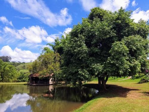 Árvores e paisagens naturais na Fazenda JS, cenário perfeito para eventos de bem-estar e conexões espirituais