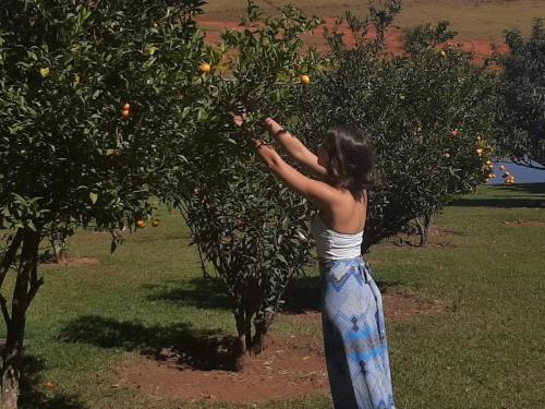 Colha sua própria fruta na Fazenda JS – experiência de retiro espiritual e vivência natural para eventos próximos a BH