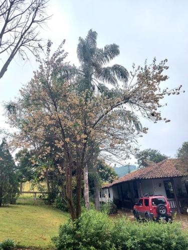 Aluguel de espaço para cerimônias de cacau e eventos espirituais com lagoa na Fazenda JS